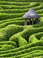 Sue Schraer M.A. (Psychotherapy) M.A. (Ed.),UKCP, BPC , TSP. Sue Schraer M.A. (Psychotherapy) M.A. (Ed.),UKCP, BPC , TSP.