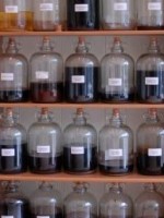 Botanica Medica Botanica Medica